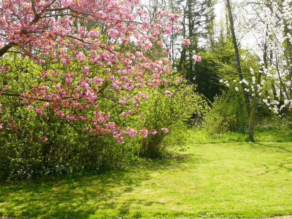 B&B Au Petit Tambour D'Autingues 외부 사진